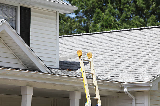 Best Storm Damage Siding Repair  in Ralston, NE