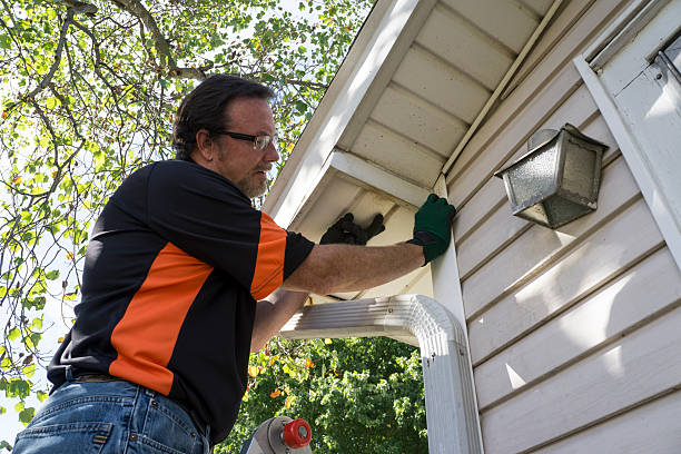 Best Siding for Commercial Buildings  in Ralston, NE
